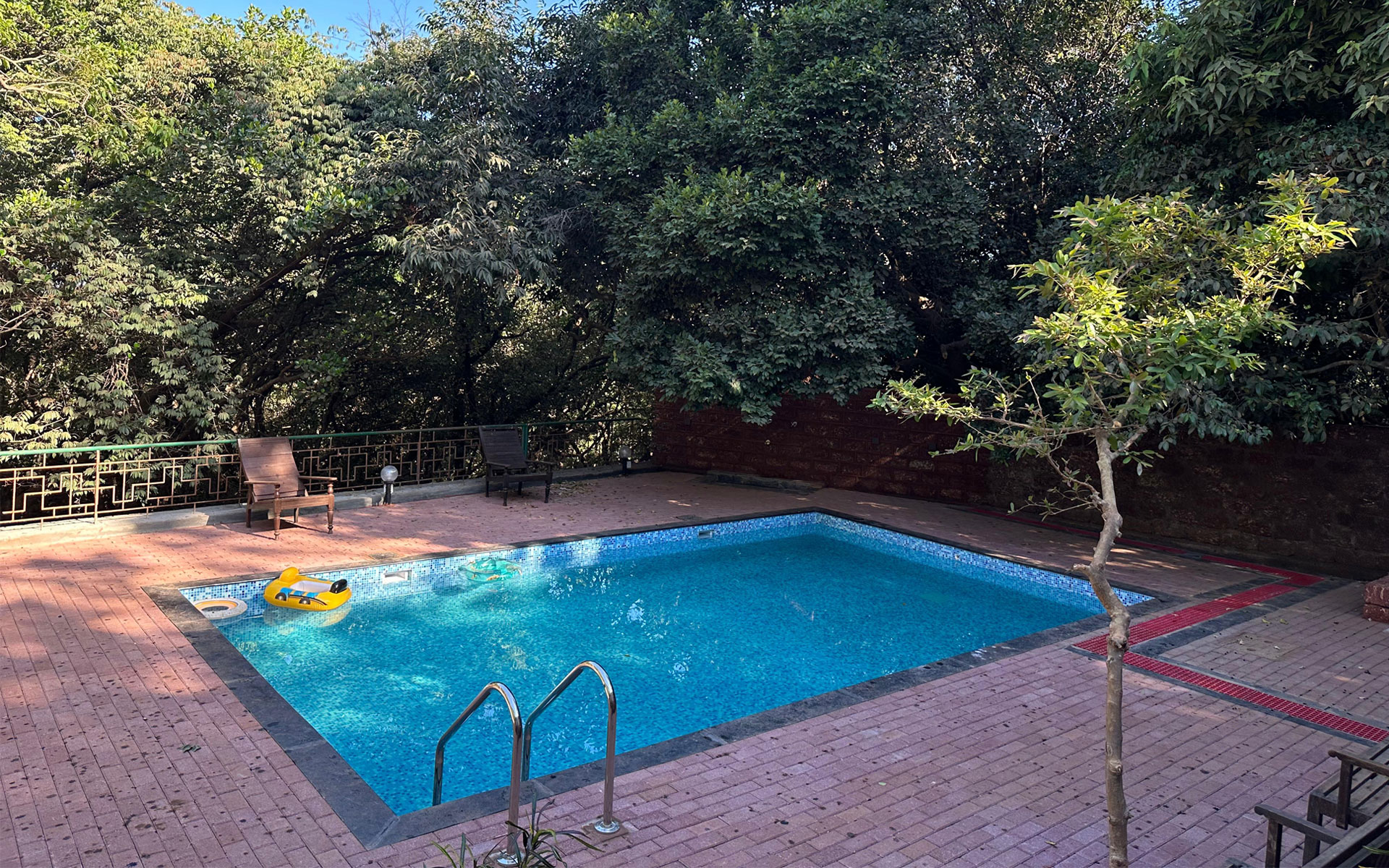 Radha Cottage Grand Swimming Pool Surrounded by Mature Forest